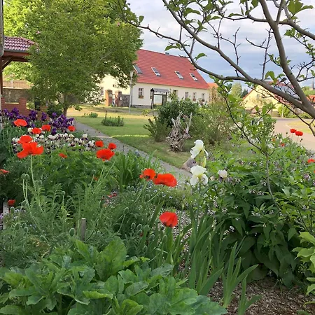 Daire Schaeferstuebchen - Urlaub Auf Dem Bauernhof Rheinsberg
